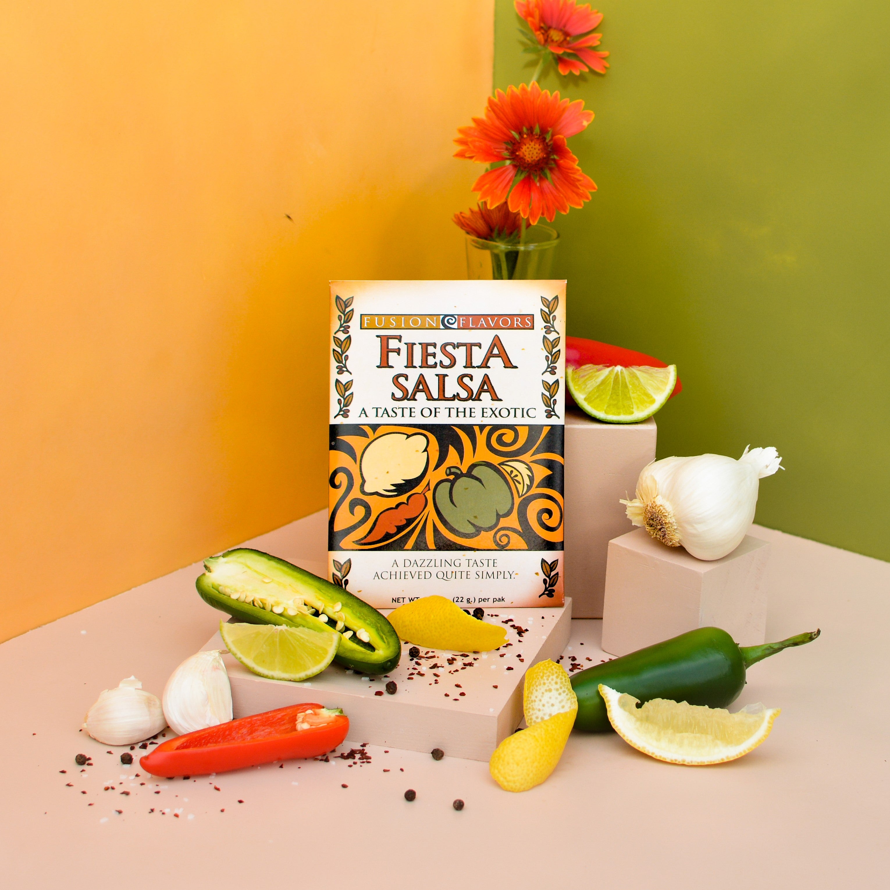 Fiesta Salsa Chip Dip & Seasoning Packet
